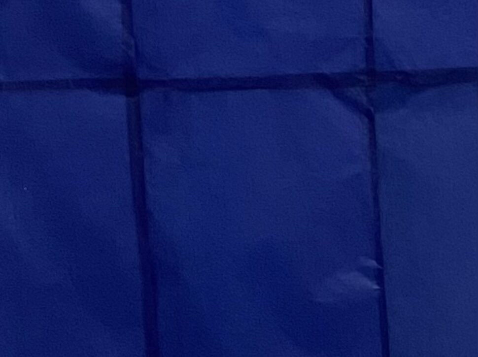 Nathalie Karagiannis