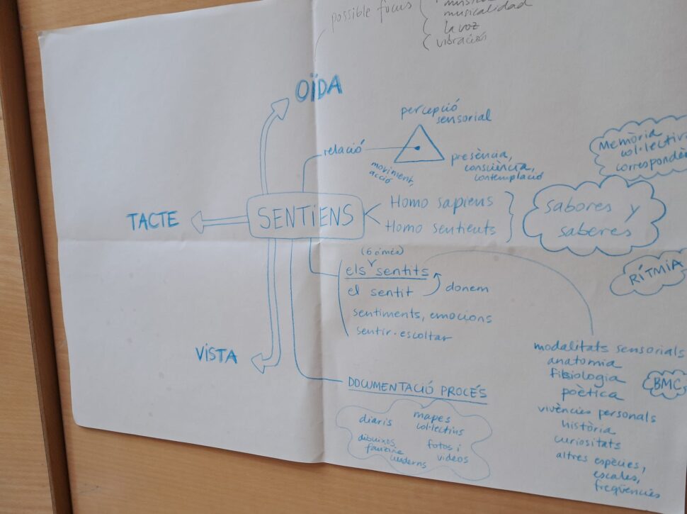 Primer trimestre Caixa d’Eines curs 2024-25