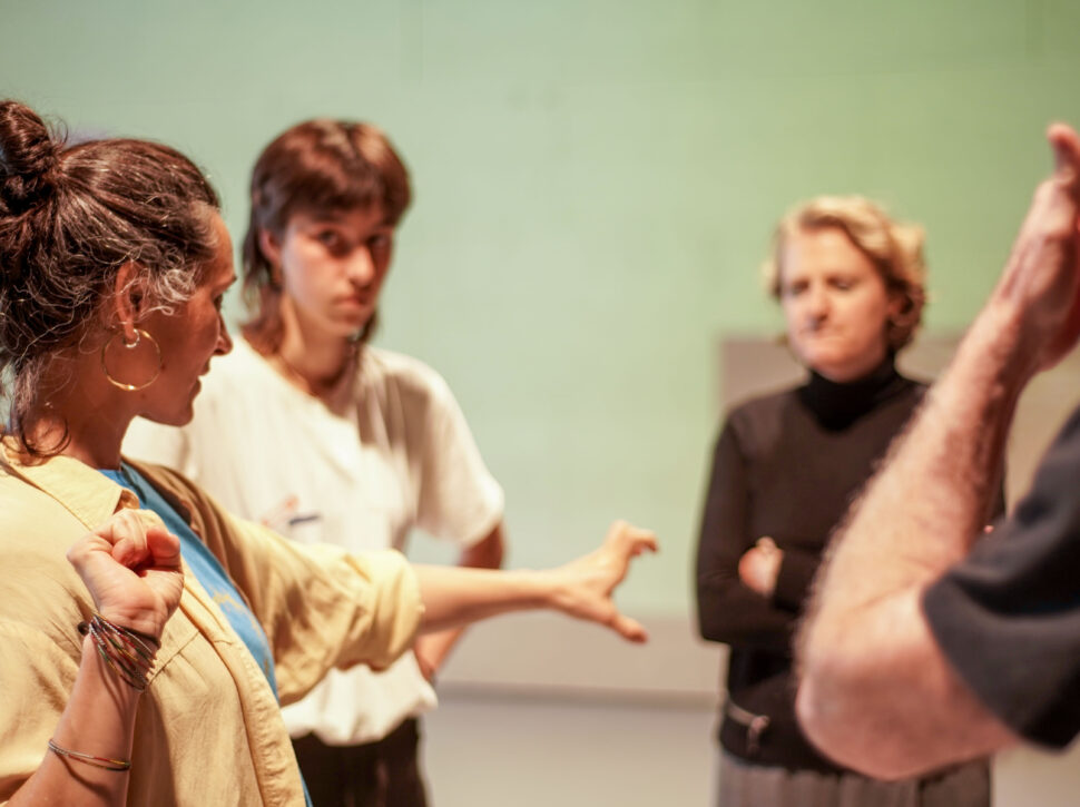 Expanded conversation around the Zona Temporal project