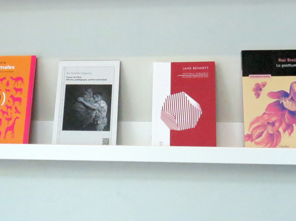 Balda comisariada por Joaquín Collado – Noviembre 2025